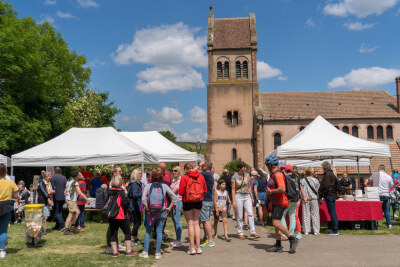 Bacchus Tours 2026 - V2 - Marlenheim - Photo 5