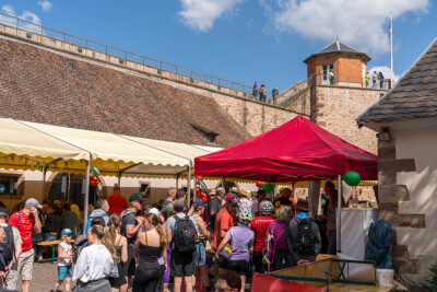 Bacchus Tours 2026 - V2 - Marlenheim - Photo 6