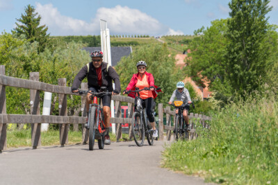 Bacchus Tours 2026 - V2 - Marlenheim - Photo 7