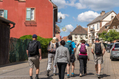 Bacchus Tours 2026 - M3 - Westhoffen - Photo 2