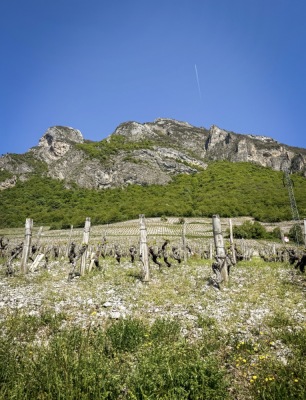 Photo prise liée au parcours