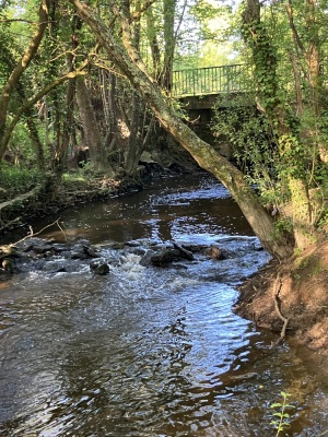 Treillieres   le pont du gué - Treillières - Photo 1