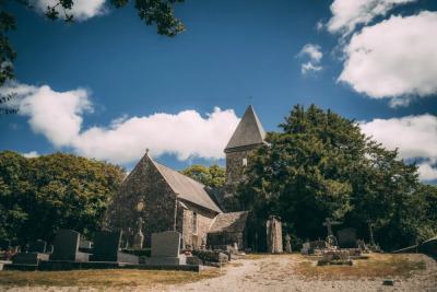 La forêt de Saint-Sauveur - Saint-Sauveur-le-Vicomte - Photo 2