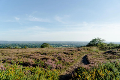 Le mont de Besneville - Saint-Sauveur-le-Vicomte - Photo 1