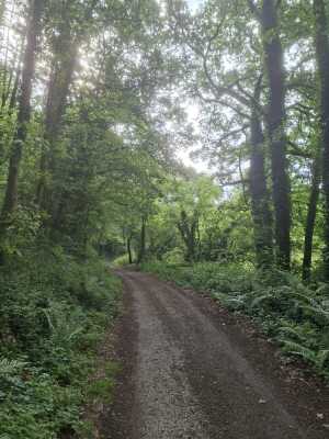pnw marzan 19.5km - Marzan - Photo 1