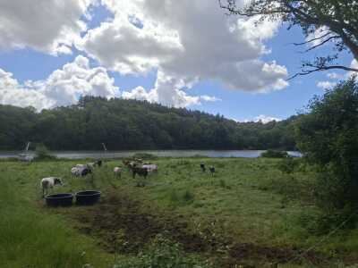 pnw marzan 19.5km - Marzan - Photo 8