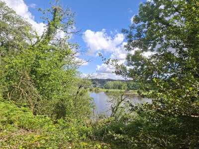 pnw marzan 19.5km - Marzan - Photo 9
