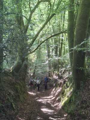 pnw marzan 19.5km - Marzan - Photo 12