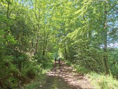 pnw marzan 19.5km - Marzan - Photo 15