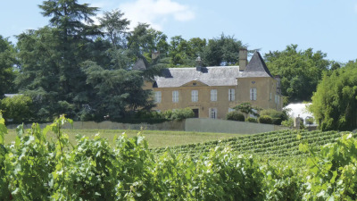 Châteaux et vignobles du Madiran - Lembeye - Photo 1