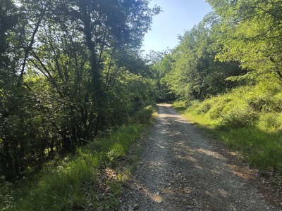 La Vasta - Col de Braus - Sospel - Photo 2