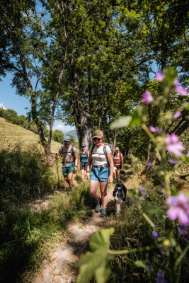 Le Sentier des Hameaux - Les Chapelles - Les Chapelles - Photo 2