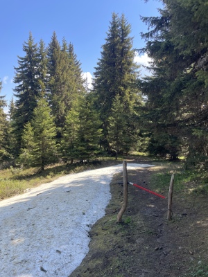 Photo prise liée au parcours