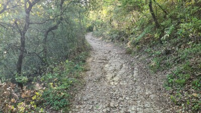 Photo prise liée au parcours