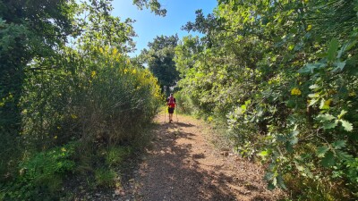 Photo prise liée au parcours