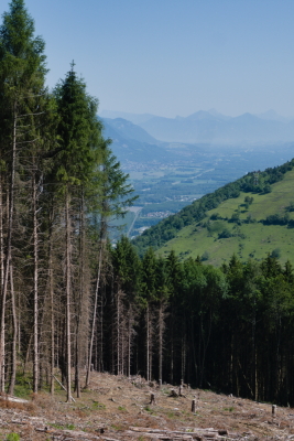 Photo prise liée au parcours
