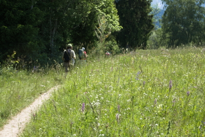 Photo prise liée au parcours