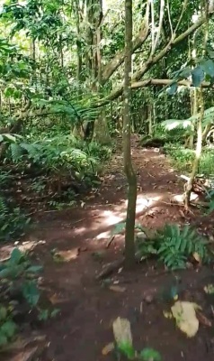 Photo prise liée au parcours