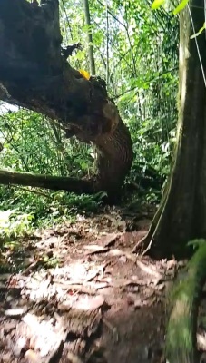 Photo prise liée au parcours