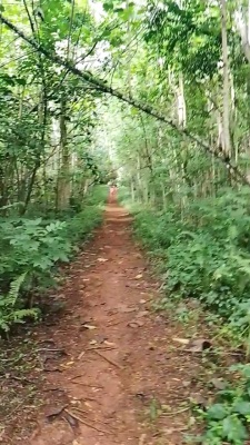 Photo prise liée au parcours