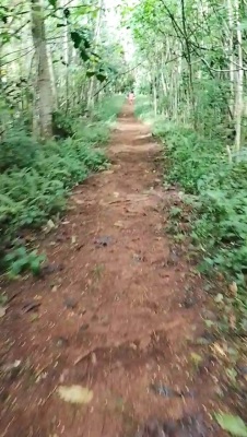 Photo prise liée au parcours