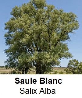 Photo prise liée au parcours