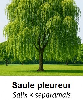 Photo prise liée au parcours