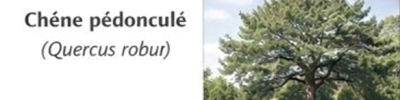 Photo prise liée au parcours