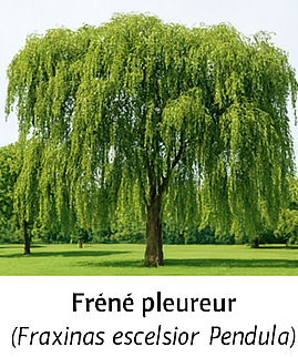 Photo prise liée au parcours