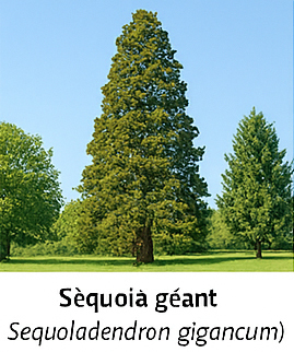 Photo prise liée au parcours