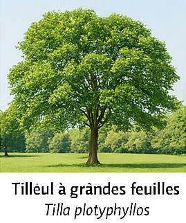 Photo prise liée au parcours