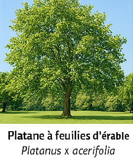 Photo prise liée au parcours