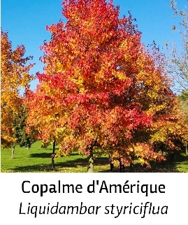 Photo prise liée au parcours