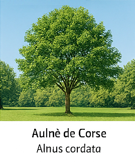 Photo prise liée au parcours