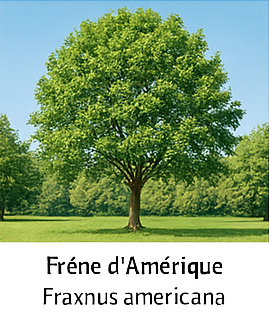 Photo prise liée au parcours