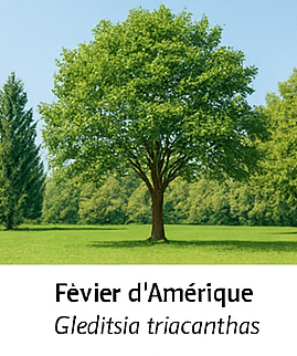Photo prise liée au parcours