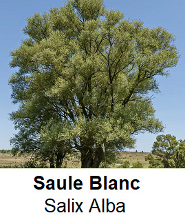 Photo prise liée au parcours