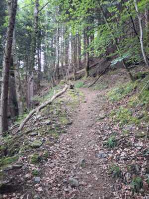 les 3 moulins à partir de légrillou - Brassac - Photo 2