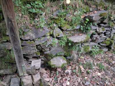 les 3 moulins à partir de légrillou - Brassac - Photo 11