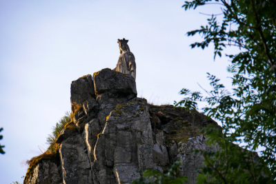 Photo prise liée au parcours