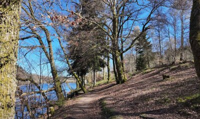 Tour du Lac des Settons - Les Settons - Photo 3