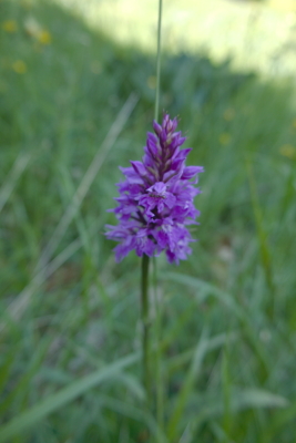 Photo prise liée au parcours