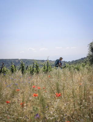 Photo prise liée au parcours