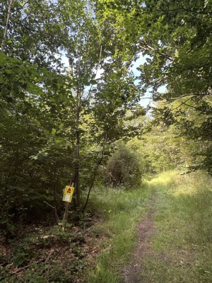 Photo prise liée au parcours