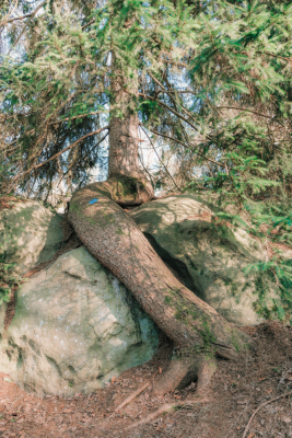 Photo prise liée au parcours