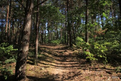 Photo prise liée au parcours