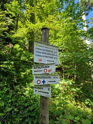 MN 2. Circuit du Freudeneck - Wangenbourg-Engenthal - Photo 2