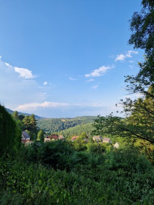MN 1. Circuit du Panorama Sud - Wangenbourg-Engenthal - Photo 7