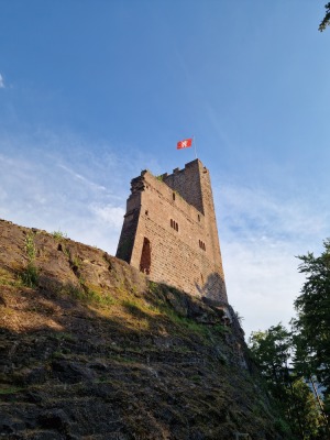 MN 2. Circuit du Freudeneck - Wangenbourg-Engenthal - Photo 6