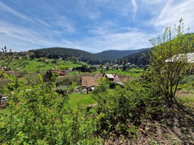 MN 1. Circuit du Panorama Sud - Wangenbourg-Engenthal - Photo 10